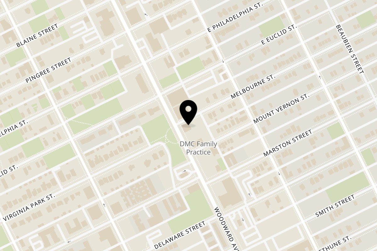 Map showing the location of The Turkey Grill on 8290 Woodward Ave in Detroit